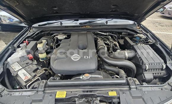 Tenga Tsaru Nissan Navara Nhema Mota in Maputo in Maputo Tenga Tsaru Nissan Navara Nhema Mota in Maputo in Maputo