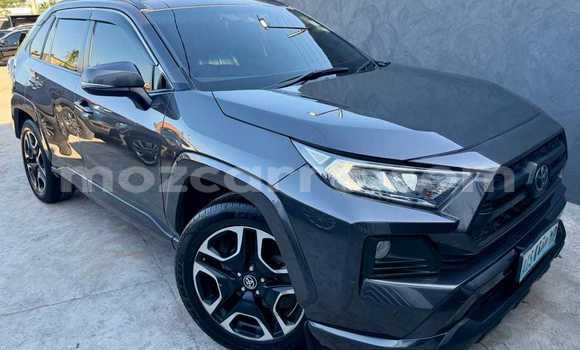 Buy Used Toyota RAV4 Other Car in Maputo in Maputo