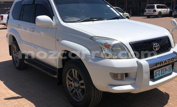 Comprar Usado Toyota Land Cruiser Prado Branco Carro em Maputo em Maputo Comprar Usado Toyota Land Cruiser Prado Branco Carro em Maputo em Maputo