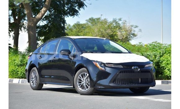 Buy Import Toyota Corolla Black Car in Import - Dubai in Cabo Delgado Buy Import Toyota Corolla Black Car in Import - Dubai in Cabo Delgado