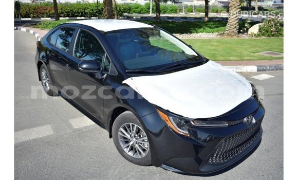 Buy Import Toyota Corolla Black Car in Import - Dubai in Cabo Delgado Buy Import Toyota Corolla Black Car in Import - Dubai in Cabo Delgado