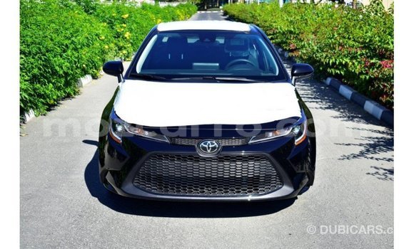 Buy Import Toyota Corolla Black Car in Import - Dubai in Cabo Delgado Buy Import Toyota Corolla Black Car in Import - Dubai in Cabo Delgado