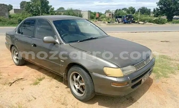 Comprar Usado Toyota Corolla Other Carro em Chiúre em Cabo Delgado Comprar Usado Toyota Corolla Other Carro em Chiúre em Cabo Delgado