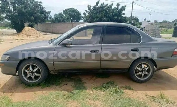Comprar Usado Toyota Corolla Other Carro em Chiúre em Cabo Delgado Comprar Usado Toyota Corolla Other Carro em Chiúre em Cabo Delgado