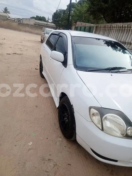 Big with watermark toyota runx sofala buzi 41485