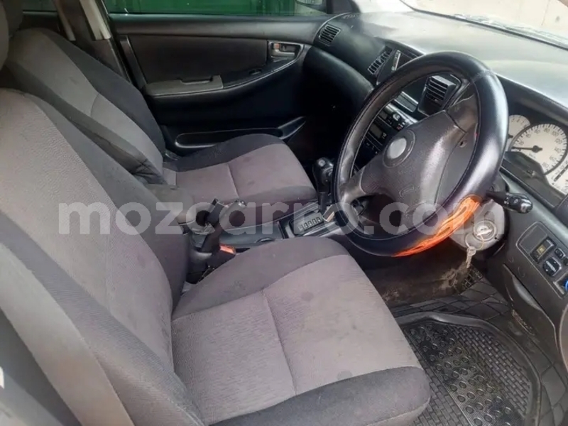 Big with watermark toyota runx sofala buzi 41485