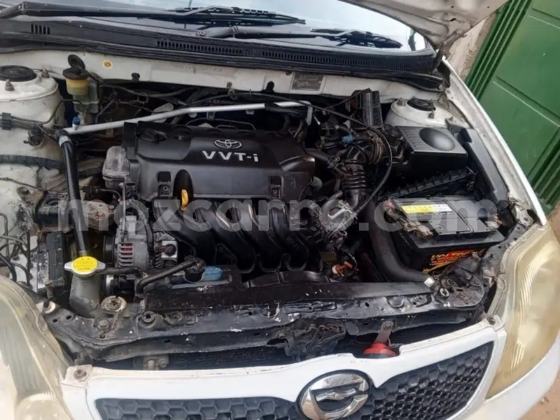 Big with watermark toyota runx sofala buzi 41485