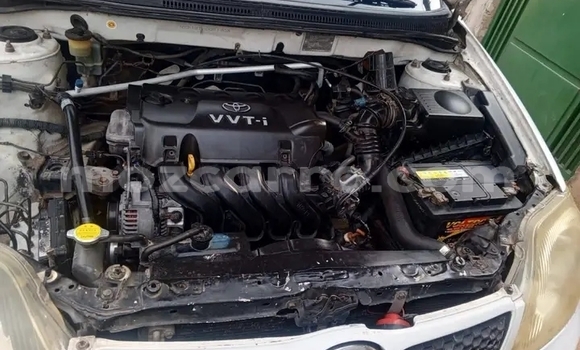 Comprar Usado Toyota Runx Branco Carro em Búzi em Sofala Comprar Usado Toyota Runx Branco Carro em Búzi em Sofala