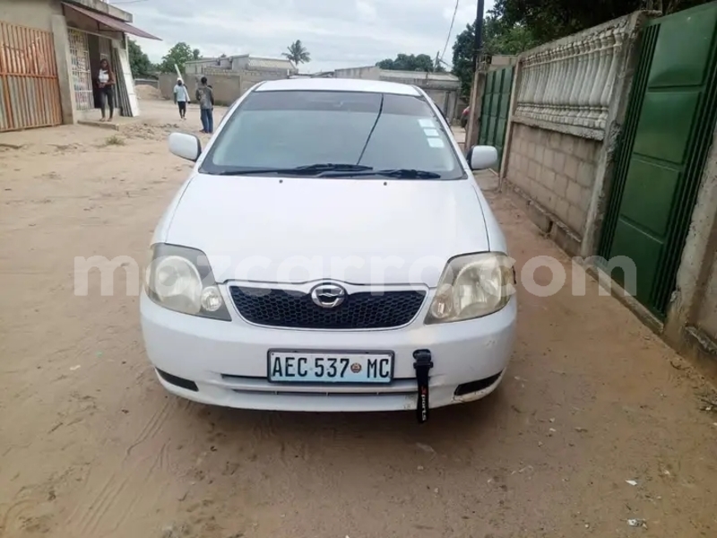 Big with watermark toyota runx sofala buzi 41485