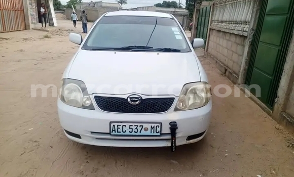 Comprar Usado Toyota Runx Branco Carro em Búzi em Sofala Comprar Usado Toyota Runx Branco Carro em Búzi em Sofala
