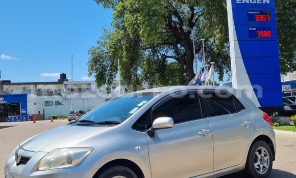 Tenga Tsaru Toyota Auris Sirivha Mota in Maputo in Maputo Tenga Tsaru Toyota Auris Sirivha Mota in Maputo in Maputo