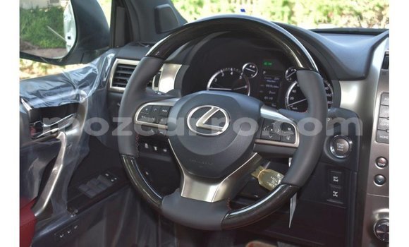 Buy Import Lexus GX White Car in Import - Dubai in Cabo Delgado Buy Import Lexus GX White Car in Import - Dubai in Cabo Delgado