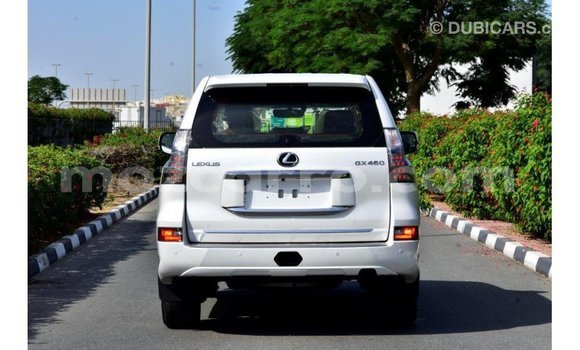 Buy Import Lexus GX White Car in Import - Dubai in Cabo Delgado Buy Import Lexus GX White Car in Import - Dubai in Cabo Delgado