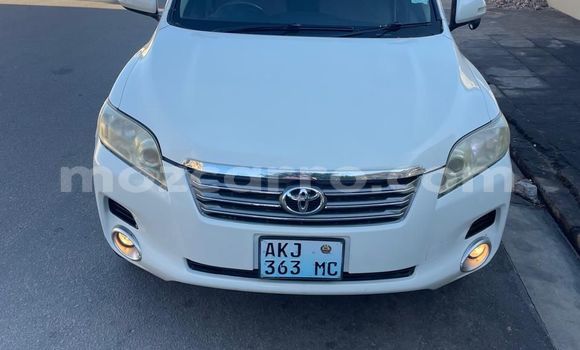 Tenga Tsaru Toyota Vanguard Chena Mota in Maputo in Maputo Tenga Tsaru Toyota Vanguard Chena Mota in Maputo in Maputo