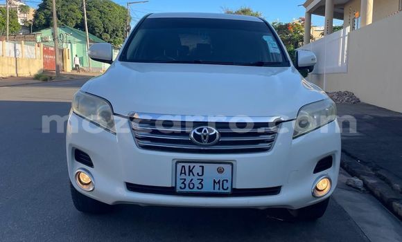 Tenga Tsaru Toyota Vanguard Chena Mota in Maputo in Maputo Tenga Tsaru Toyota Vanguard Chena Mota in Maputo in Maputo