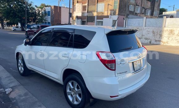 Tenga Tsaru Toyota Vanguard Chena Mota in Maputo in Maputo Tenga Tsaru Toyota Vanguard Chena Mota in Maputo in Maputo