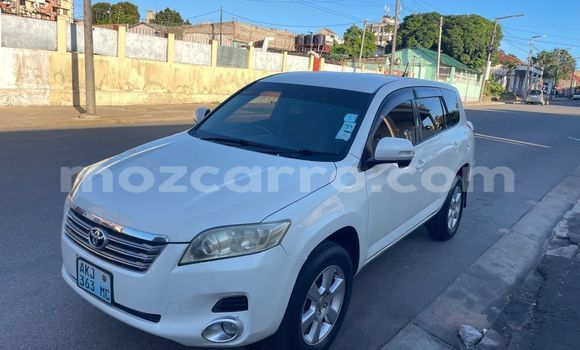 Tenga Tsaru Toyota Vanguard Chena Mota in Maputo in Maputo Tenga Tsaru Toyota Vanguard Chena Mota in Maputo in Maputo