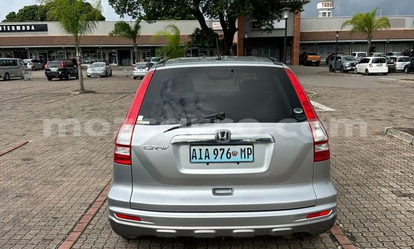 Comprar Usado Honda CR-V Other Carro em Maputo em Maputo Comprar Usado Honda CR-V Other Carro em Maputo em Maputo