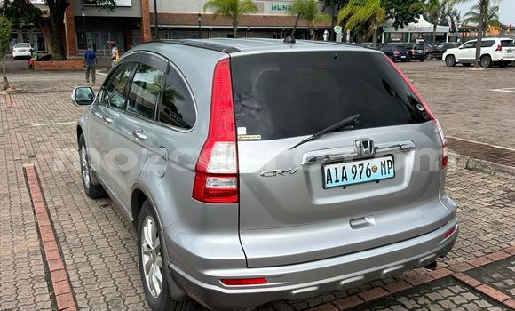 Comprar Usado Honda CR-V Other Carro em Maputo em Maputo Comprar Usado Honda CR-V Other Carro em Maputo em Maputo