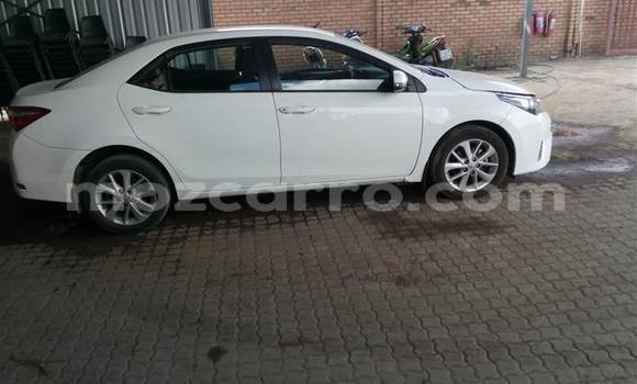 Buy Used Toyota Corolla White Car in Beira in Sofala Buy Used Toyota Corolla White Car in Beira in Sofala