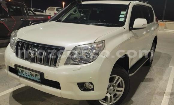 Comprar Novo Toyota Land Cruiser Prado Branco Carro em Maputo em Maputo Comprar Novo Toyota Land Cruiser Prado Branco Carro em Maputo em Maputo