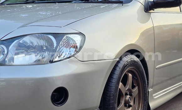Nunua Ilio tumika Toyota Corolla Nyingine Gari ndani ya Maputo nchini Maputo Nunua Ilio tumika Toyota Corolla Nyingine Gari ndani ya Maputo nchini Maputo