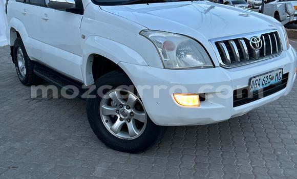 Buy Used Toyota Land Cruiser Prado White Car in Maputo in Maputo Buy Used Toyota Land Cruiser Prado White Car in Maputo in Maputo