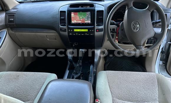 Buy Used Toyota Land Cruiser Prado White Car in Maputo in Maputo Buy Used Toyota Land Cruiser Prado White Car in Maputo in Maputo