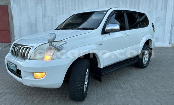 Buy Used Toyota Land Cruiser Prado White Car in Maputo in Maputo Buy Used Toyota Land Cruiser Prado White Car in Maputo in Maputo