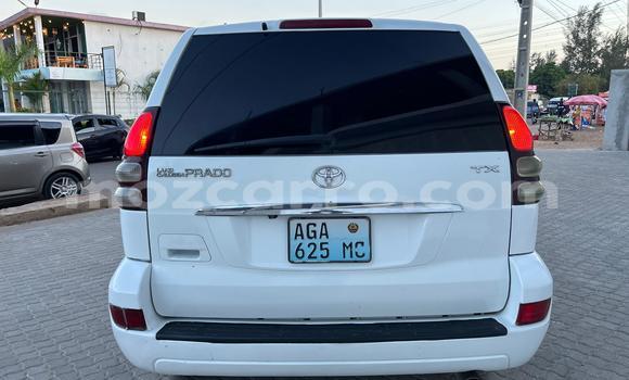 Buy Used Toyota Land Cruiser Prado White Car in Maputo in Maputo Buy Used Toyota Land Cruiser Prado White Car in Maputo in Maputo
