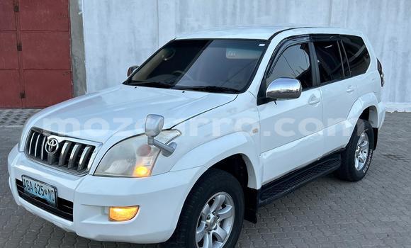 Buy Used Toyota Land Cruiser Prado White Car in Maputo in Maputo Buy Used Toyota Land Cruiser Prado White Car in Maputo in Maputo