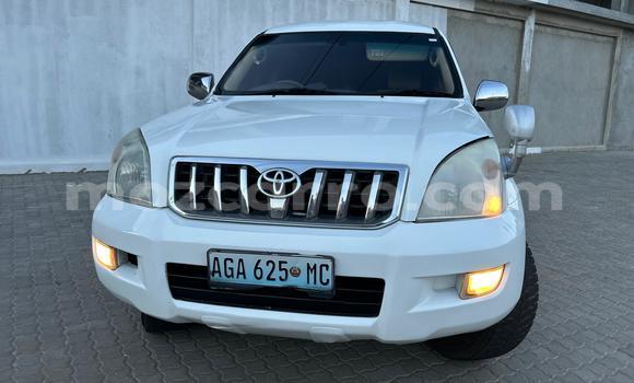 Buy Used Toyota Land Cruiser Prado White Car in Maputo in Maputo Buy Used Toyota Land Cruiser Prado White Car in Maputo in Maputo