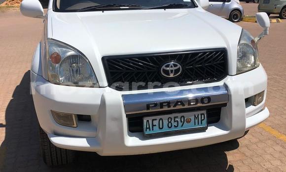 Comprar Usado Toyota Land Cruiser Prado Branco Carro em Maputo em Maputo Comprar Usado Toyota Land Cruiser Prado Branco Carro em Maputo em Maputo