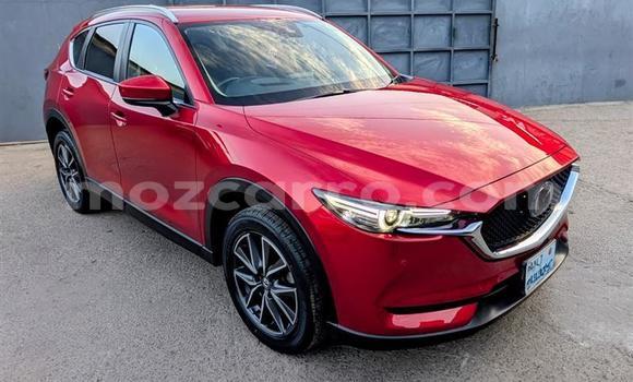 Comprar Usado Mazda CX-5 Vermelho Carro em Maputo em Maputo Comprar Usado Mazda CX-5 Vermelho Carro em Maputo em Maputo