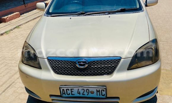 Nunua Ilio tumika Toyota Runx Other Gari ndani ya Maputo nchini Maputo Nunua Ilio tumika Toyota Runx Other Gari ndani ya Maputo nchini Maputo