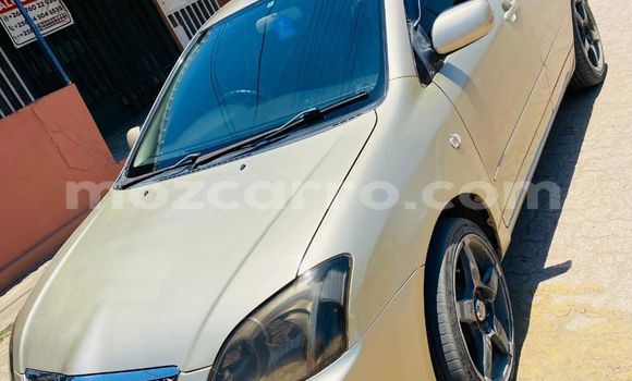 Nunua Ilio tumika Toyota Runx Other Gari ndani ya Maputo nchini Maputo Nunua Ilio tumika Toyota Runx Other Gari ndani ya Maputo nchini Maputo