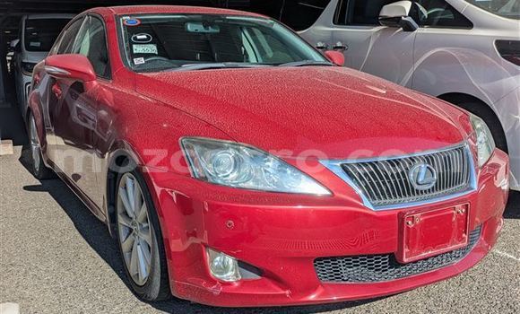 Buy Used Lexus IS 300 Red Car in Maputo in Maputo