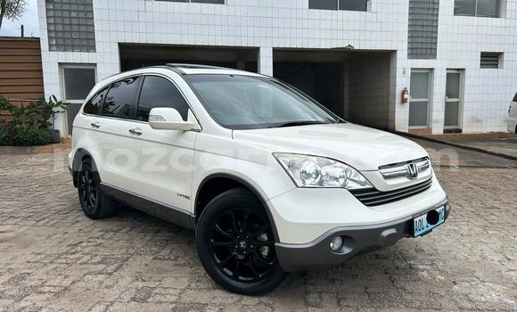 Buy Used Honda CR-V White Car in Maputo in Maputo