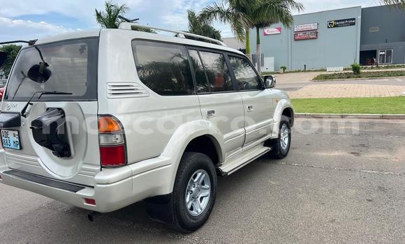 Comprar Usado Toyota Prado Other Carro em Maputo em Maputo Comprar Usado Toyota Prado Other Carro em Maputo em Maputo