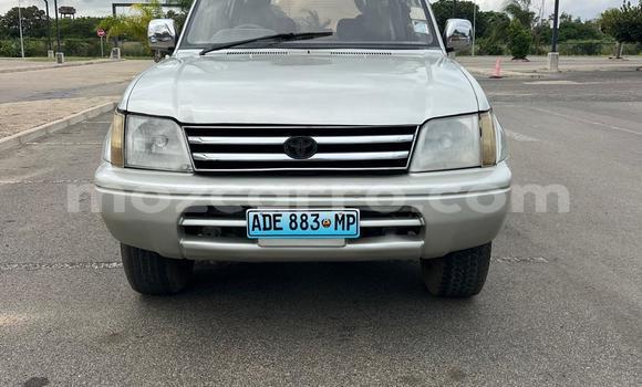 Comprar Usado Toyota Prado Other Carro em Maputo em Maputo Comprar Usado Toyota Prado Other Carro em Maputo em Maputo