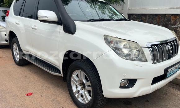 Comprar Usado Toyota Land Cruiser Prado Branco Carro em Maputo em Maputo