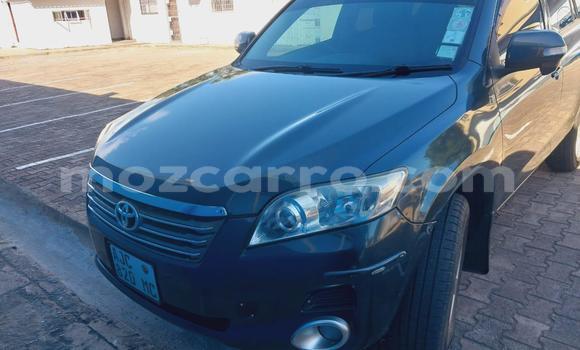 Tenga Tsaru Toyota Vanguard Zvimwe Mota in Maputo in Maputo Tenga Tsaru Toyota Vanguard Zvimwe Mota in Maputo in Maputo