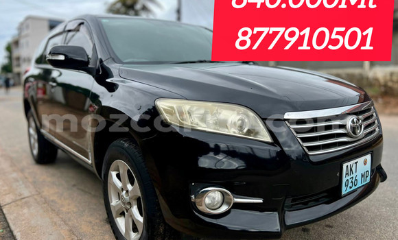 Buy New Toyota Vanguard Black Car in Maputo in Maputo