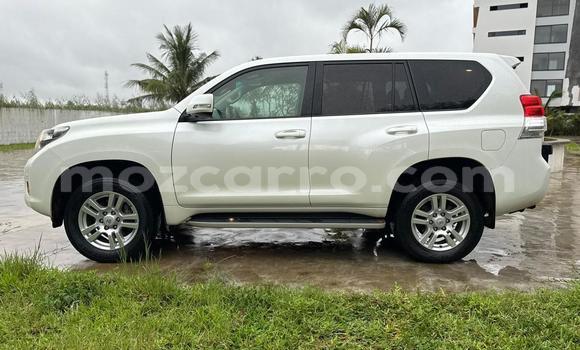 Tenga Tsaru Toyota Land Cruiser Prado Chena Mota in Maputo in Maputo Tenga Tsaru Toyota Land Cruiser Prado Chena Mota in Maputo in Maputo