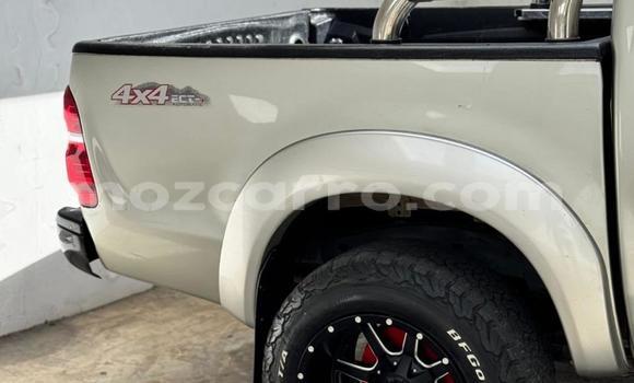 Tenga Tsaru Toyota Hilux Other Mota in Maputo in Maputo Tenga Tsaru Toyota Hilux Other Mota in Maputo in Maputo