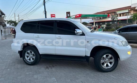 Tenga Tsaru Toyota Land Cruiser Prado Chena Mota in Maputo in Maputo Tenga Tsaru Toyota Land Cruiser Prado Chena Mota in Maputo in Maputo