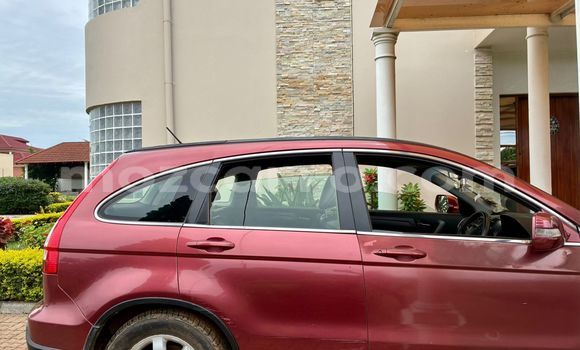 Comprar Usado Honda CR-V Vermelho Carro em Maputo em Maputo