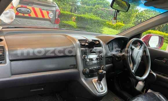 Tenga Tsaru Honda CR-V Tsvuku Mota in Maputo in Maputo Tenga Tsaru Honda CR-V Tsvuku Mota in Maputo in Maputo