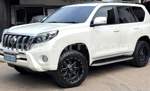 Comprar Novo Toyota Land Cruiser Prado Branco Carro em Maputo em Maputo