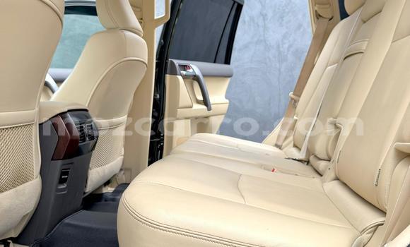 Tenga Itsva Toyota Land Cruiser Prado Nhema Mota in Maputo in Maputo Tenga Itsva Toyota Land Cruiser Prado Nhema Mota in Maputo in Maputo